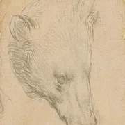 Leonardo da Vinci | Bärenkopf - 1476 | Giclée Kunstdruck gerahmt