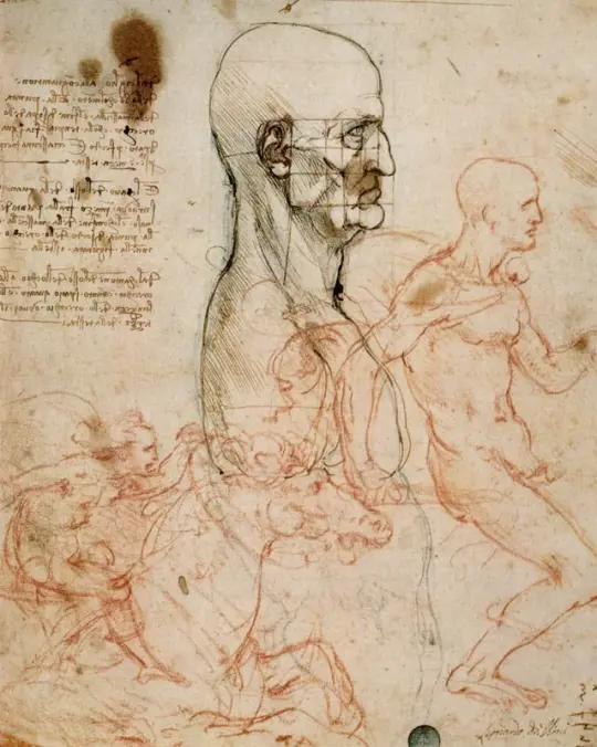 Leonardo da Vinci | Anatomische Studien - 1505 | Giclée Kunstdruck gerahmt