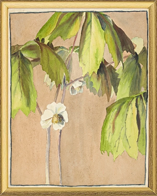 Maiapfel - 1915