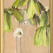 Maiapfel - 1915