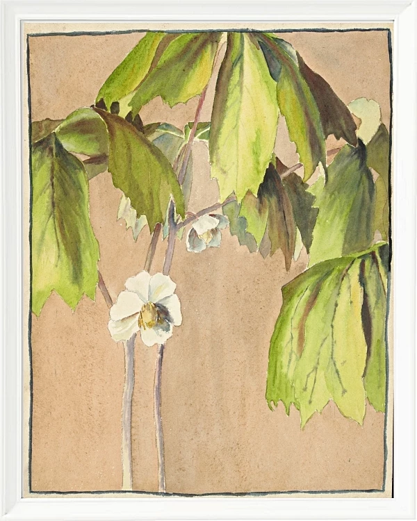 Maiapfel - 1915