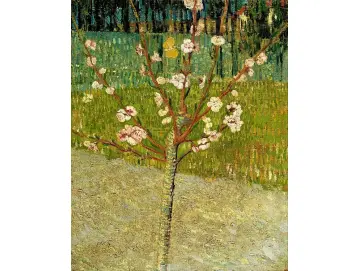 Mandelbaum in Blüte - 1888