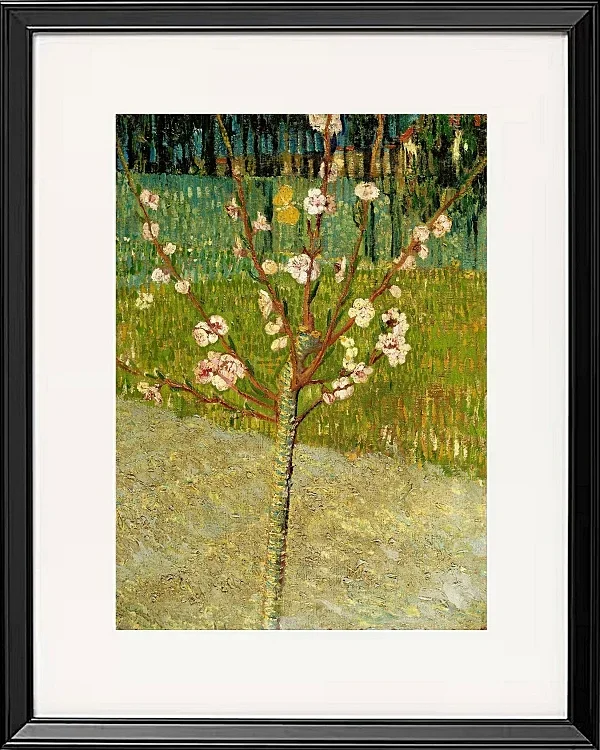 Mandelbaum in Blüte - 1888