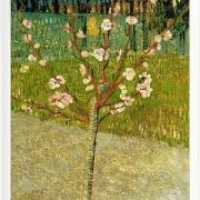 Mandelbaum in Blüte - 1888