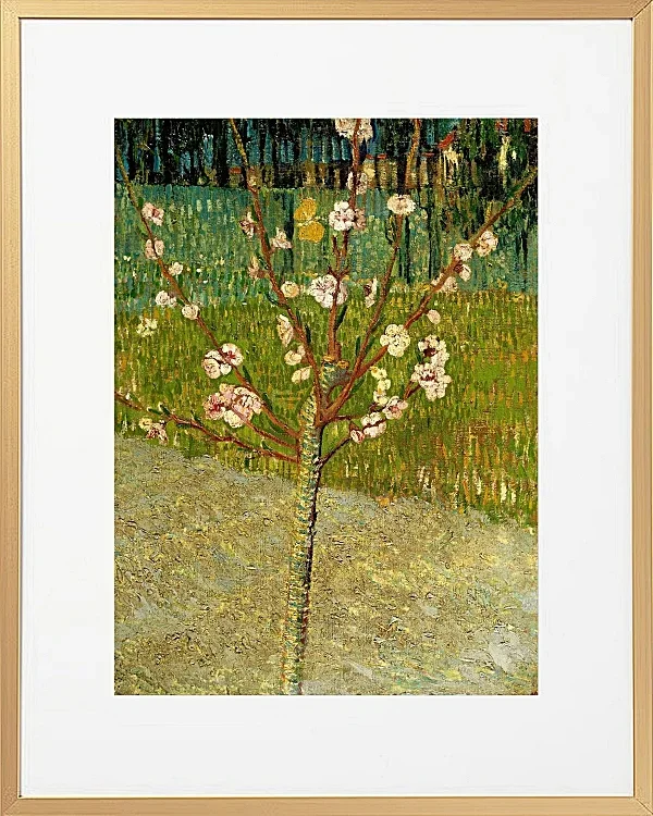 Mandelbaum in Blüte - 1888
