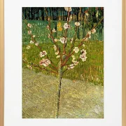Mandelbaum in Blüte - 1888