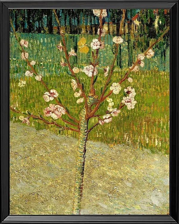 Mandelbaum in Blüte - 1888