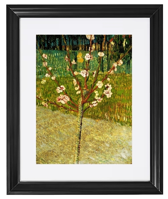 Almond tree in blossom - 1888