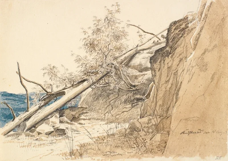 Martinus Rørbye | Træstamme, der læner sig op ad en klippe – 1830 | Indrammet kunsttryk | Danmarks Guldalder