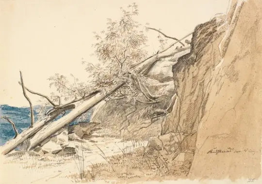 Martinus Rørbye | Træstamme, der læner sig op ad en klippe – 1830 | Indrammet kunsttryk | Danmarks Guldalder