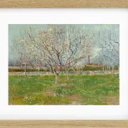 Frugthave i blomst - 1888