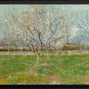 Frugthave i blomst - 1888