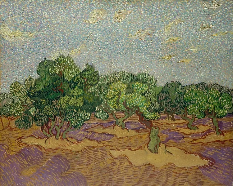 Oliventræer - 1889