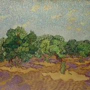 Oliventræer - 1889