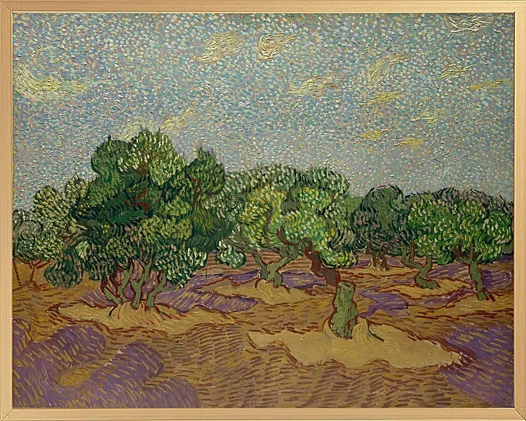 Oliventræer - 1889