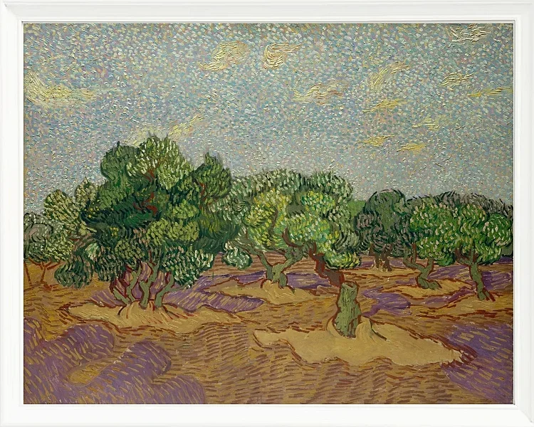 Oliventræer - 1889
