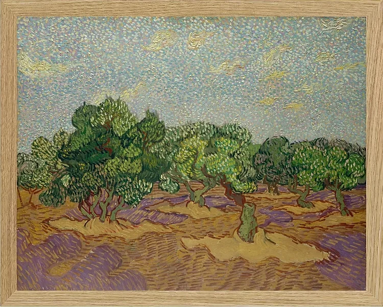 Oliventræer - 1889
