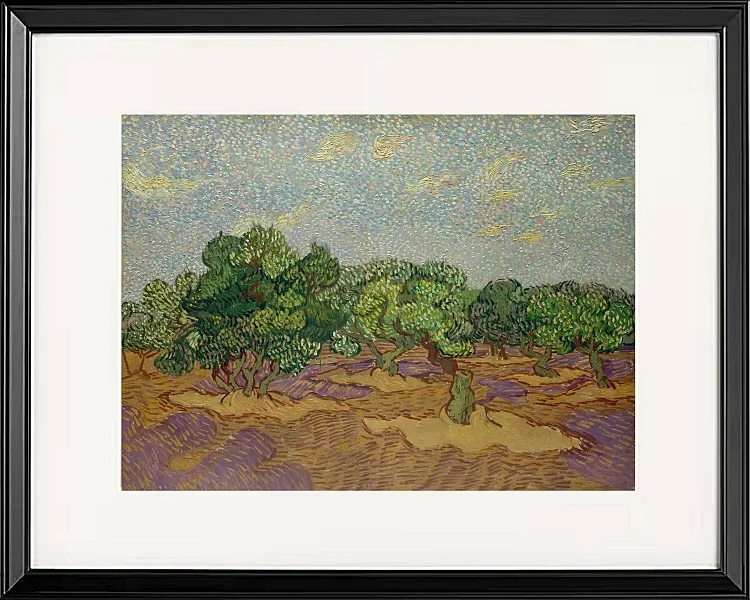 Oliventræer - 1889