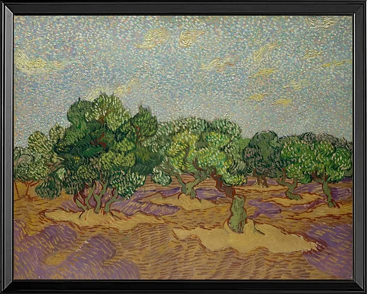 Oliventræer - 1889