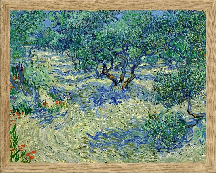 Olivenhave - 1889