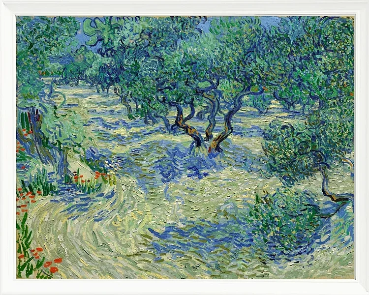 Olivenhave - 1889