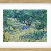 Olivenhave - 1889