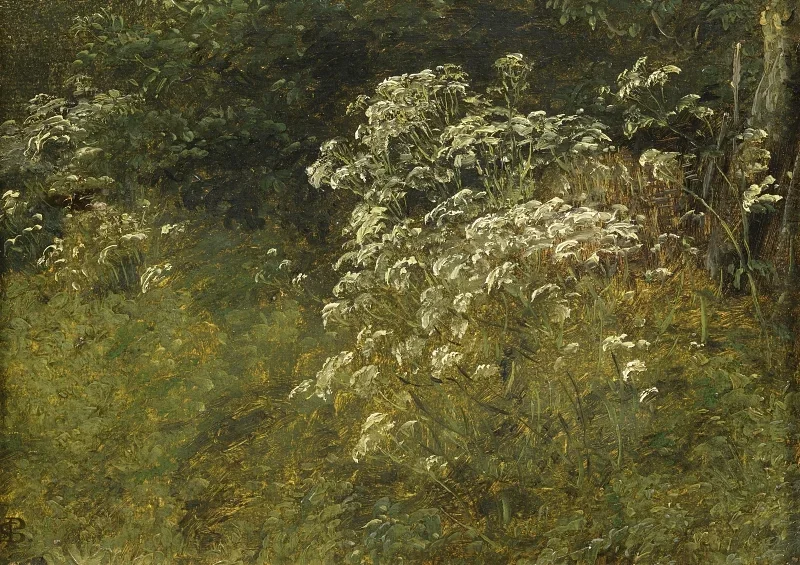 Peter Christian Skovgaard | Hundepersille, studie – 1860 | Indrammet kunsttryk | Danmarks Guldalder