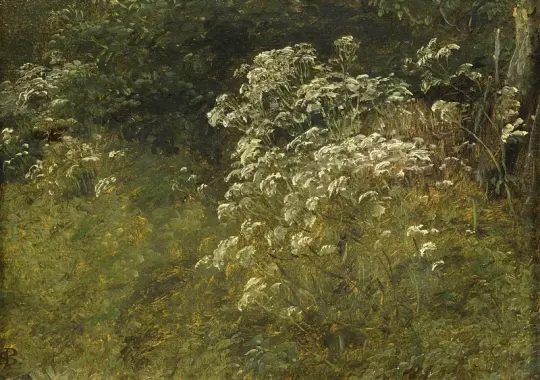 Peter Christian Skovgaard | Wiesen-Kerbel, Studie – 1860 | Gerahmter Kunstdruck | Goldenes Zeitalter Dänemark