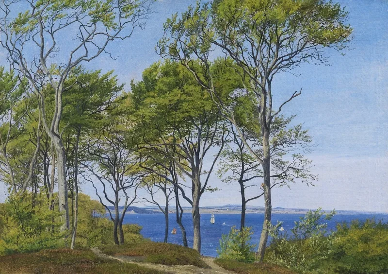 Peter Christian Skovgaard | Udsigt gennem bøgetræer over en fjord - 1849 | Indrammet kunsttryk | Danmarks Guldalder