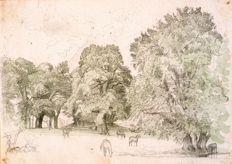 Peter Christian Skovgaard | Heste i en lysning under store egetræer – 1872 | Indrammet kunsttryk | Danmarks Guldalder