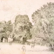 Peter Christian Skovgaard | Heste i en lysning under store egetræer – 1872 | Indrammet kunsttryk | Danmarks Guldalder