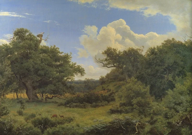 Peter Christian Skovgaard | Egetræ i nordskoven på Jægerspris, Sjæland – 1842 | Indrammet kunsttryk | Danmarks Guldalder