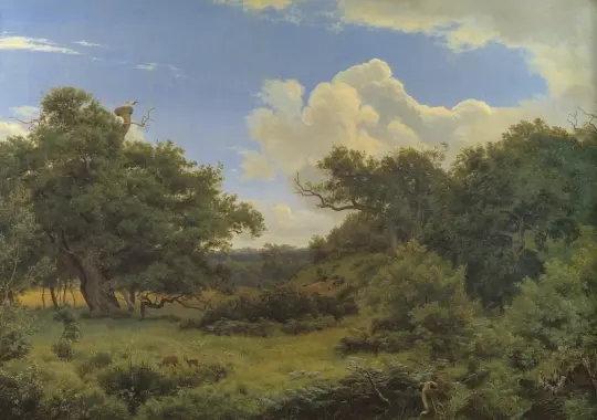 Peter Christian Skovgaard | Egetræ i nordskoven på Jægerspris, Sjæland – 1842 | Indrammet kunsttryk | Danmarks Guldalder