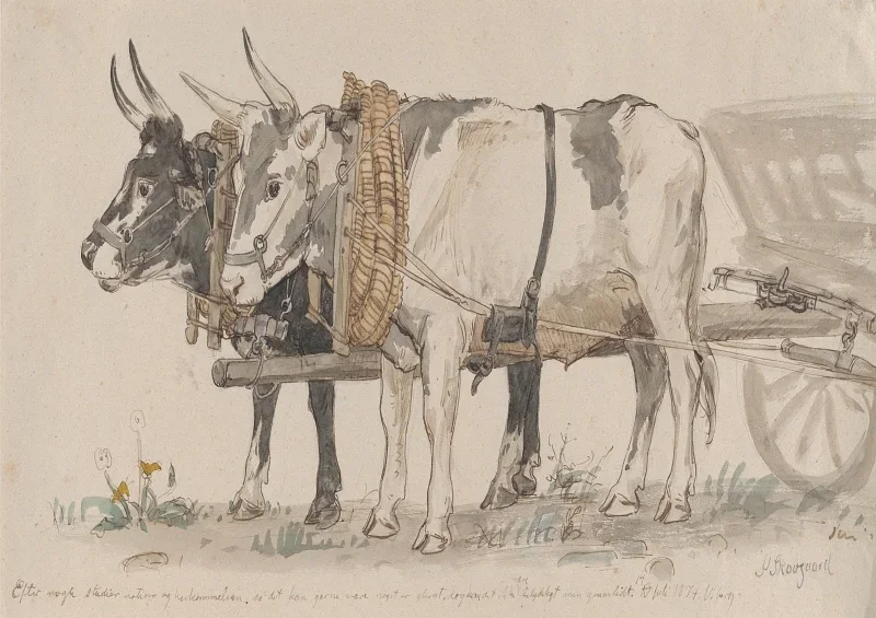 Peter Christian Skovgaard | To okser, der trækker en vogn – 1874 | Indrammet kunsttryk | Danmarks Guldalder
