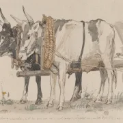 Peter Christian Skovgaard | To okser, der trækker en vogn – 1874 | Indrammet kunsttryk | Danmarks Guldalder