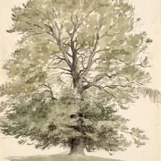 Peter Christian Skovgaard | Eine große Buche mit grünem Laub – 1840 | Gerahmter Kunstdruck | Goldenes Zeitalter Dänemark