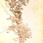 Peter Christian Skovgaard | Et stort træ - 1864 | Indrammet kunsttryk | Danmarks Guldalder