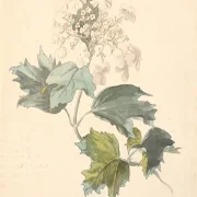 Peter Christian Skovgaard | Lindenholz - 1845 | Gerahmter Kunstdruck | Goldenes Zeitalter Dänemark