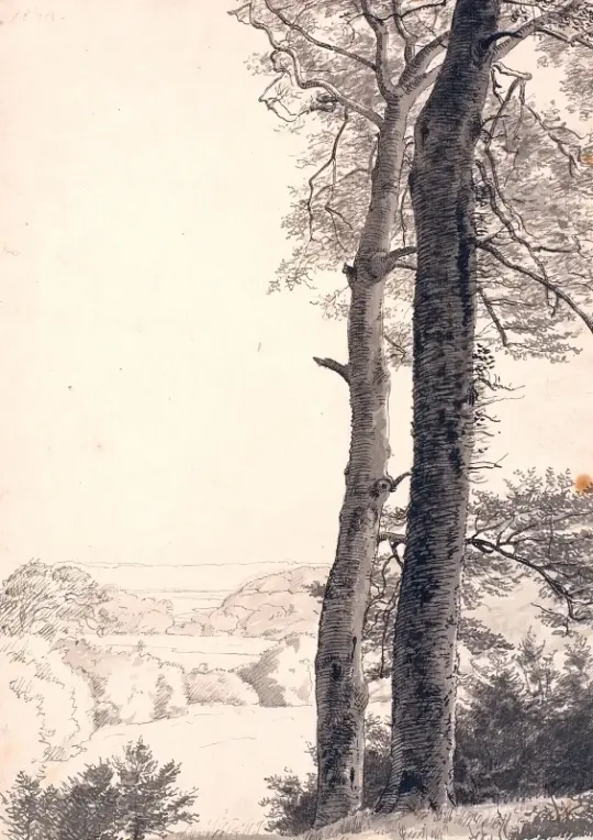 Peter Christian Skovgaard | Landskab ved Skarritsø - 1843 | Indrammet kunsttryk | Danmarks Guldalder