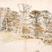 Peter Christian Skovgaard | Hohe Bäume mit Herbstlaub auf hügeligem Gelände - 1841 | Gerahmter Kunstdruck | Goldenes Zeitalter Dänemark
