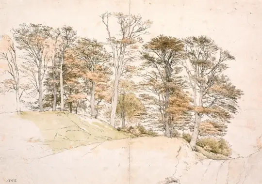 Peter Christian Skovgaard | Høje træer med efterårsløv på bakket grund - 1841 | Indrammet kunsttryk | Danmarks Guldalder