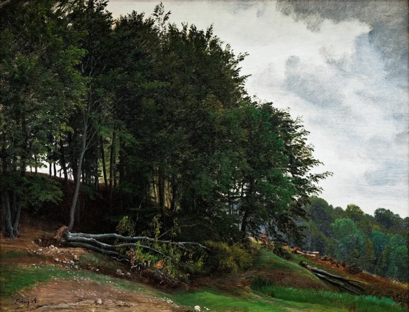 Peter Christian Thamsen Skovgaard – Bewaldete Hügel 1864 | Indrammet giclée-kunsttryk