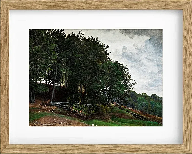 Peter Christian Thamsen Skovgaard – Bewaldete Hügel 1864 | Indrammet giclée-kunsttryk
