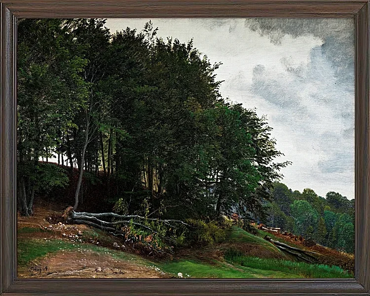 Peter Christian Thamsen Skovgaard – Bewaldete Hügel 1864 | Indrammet giclée-kunsttryk