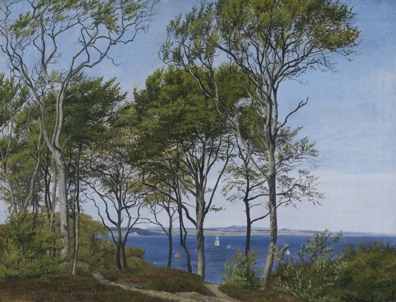 Peter Christian Thamsen Skovgaard – Blick durch Buchen über einen Fjord 1849 | Indrammet giclée-kunsttryk