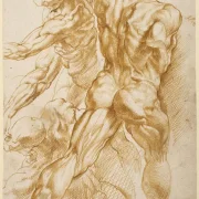 Peter Paul Rubens | Anatomische Studien - 1605 | Giclée Kunstdruck gerahmt