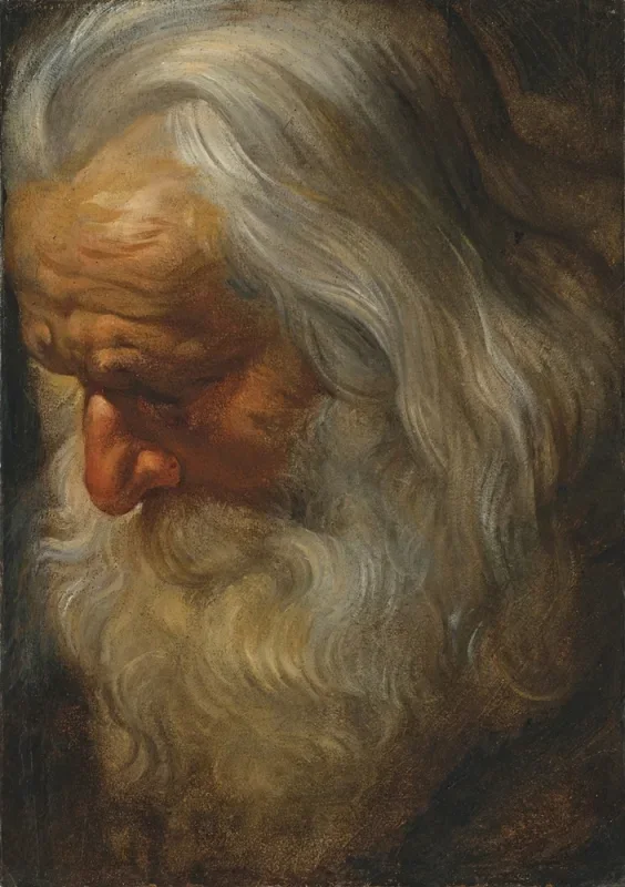 Peter Paul Rubens | Hovedstudie af en skægget gammel mand - 1620 | Indrammet kunsttryk | Barok | formida