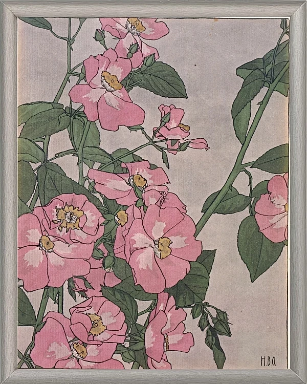 Prärierose - 1915