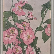 Prärierose - 1915