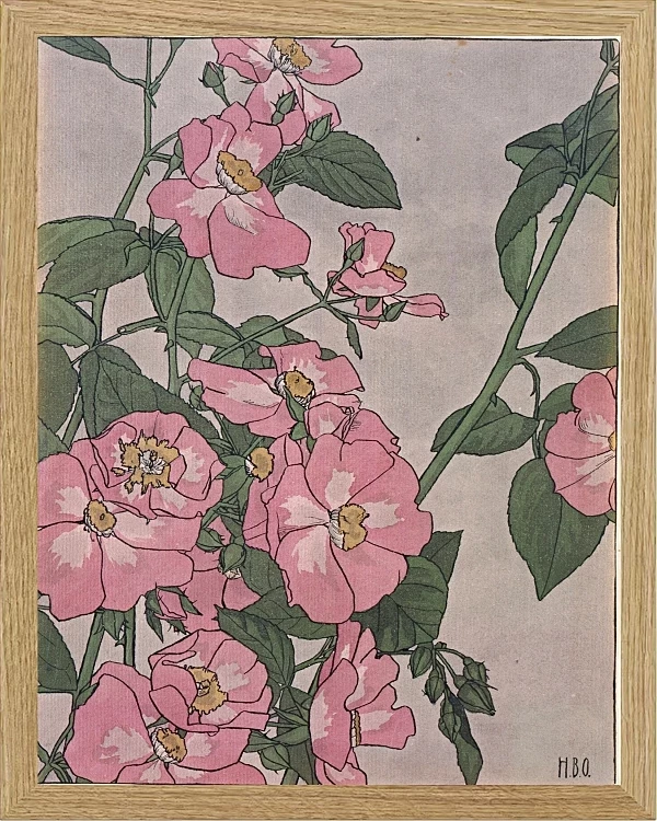 Prärierose - 1915